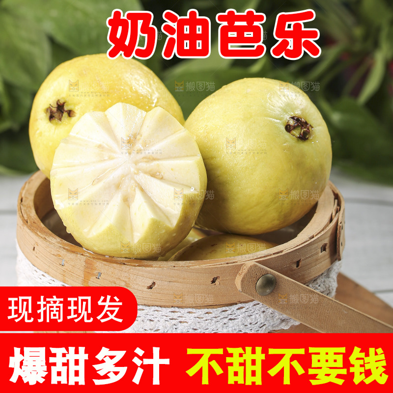 浅底上的奶油芭乐