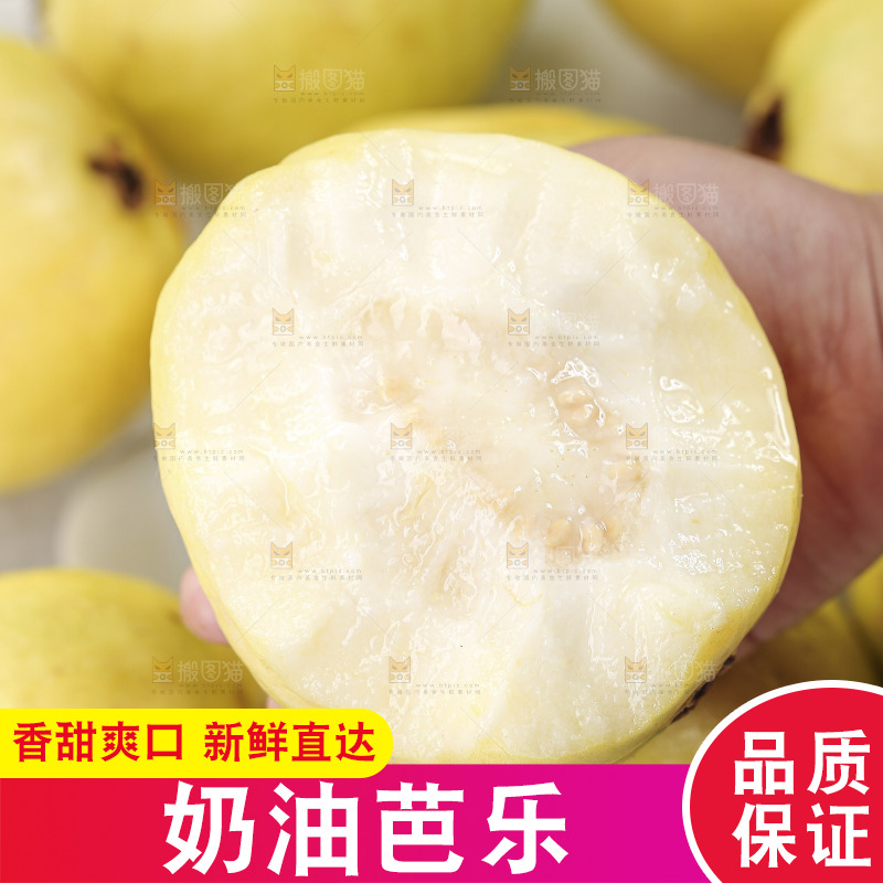 浅底上的奶油芭乐