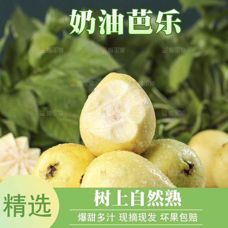 浅底上的奶油芭乐