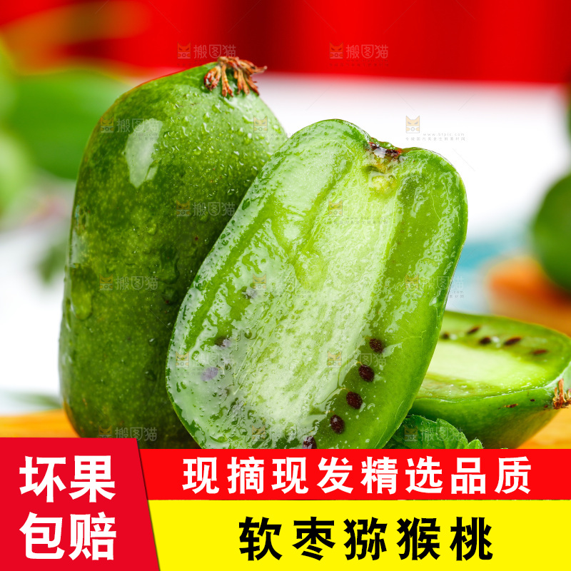 浅底上的软枣猕猴桃
