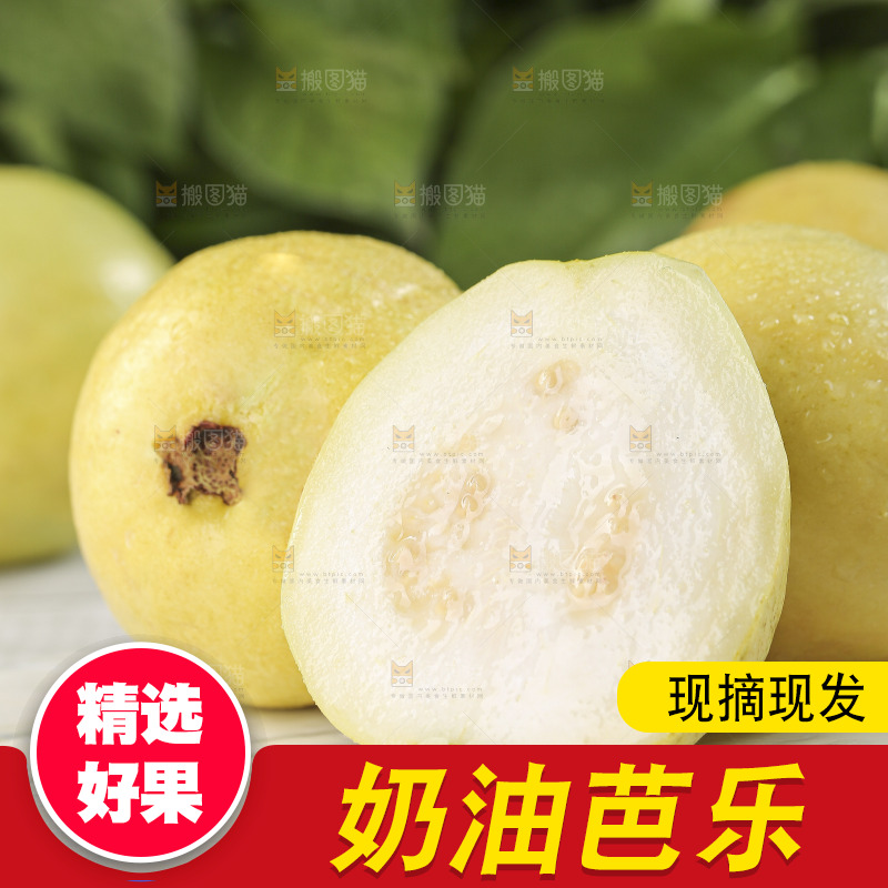 浅底上的奶油芭乐