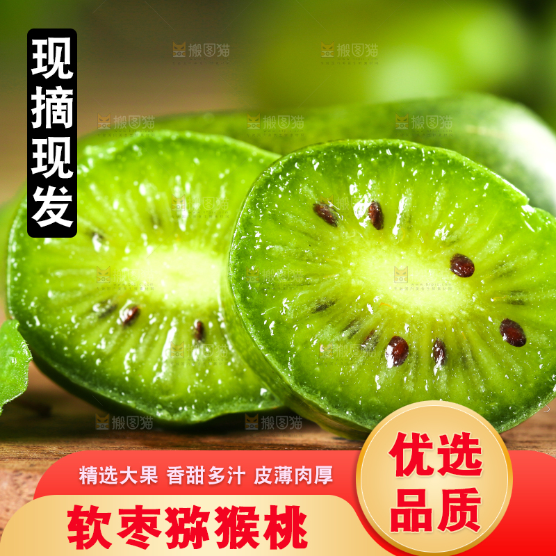 深底上的软枣猕猴桃