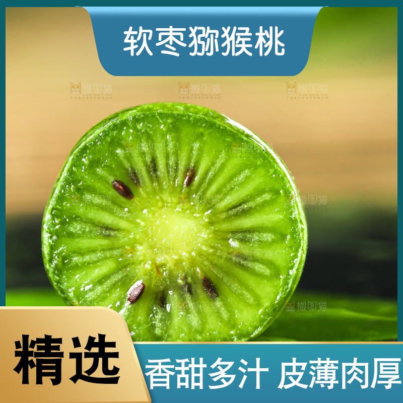 深底上的软枣猕猴桃