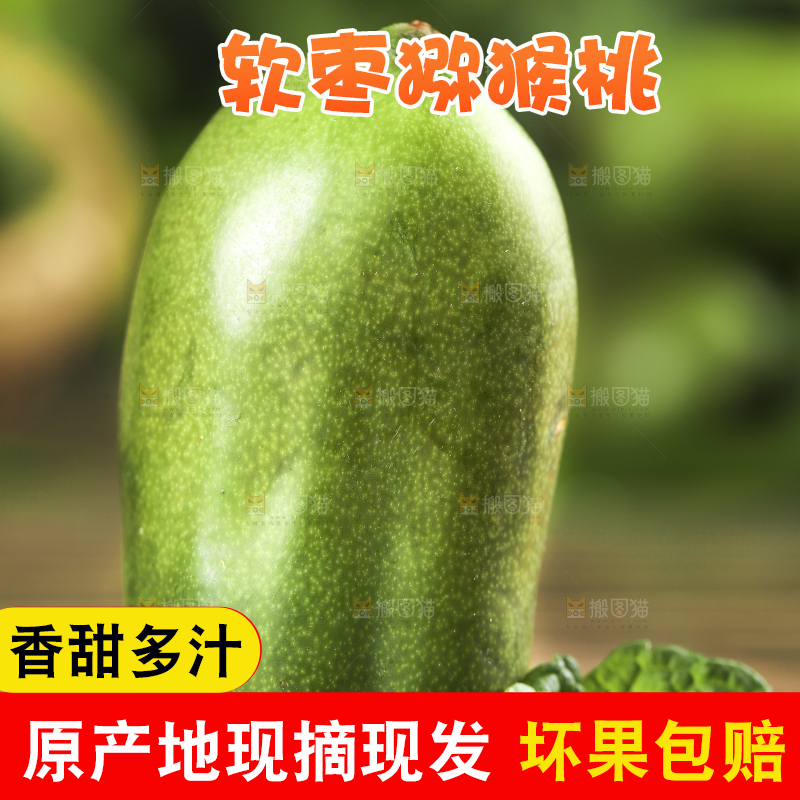 深底上的软枣猕猴桃