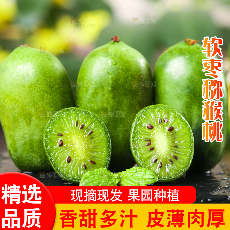 深底上的软枣猕猴桃