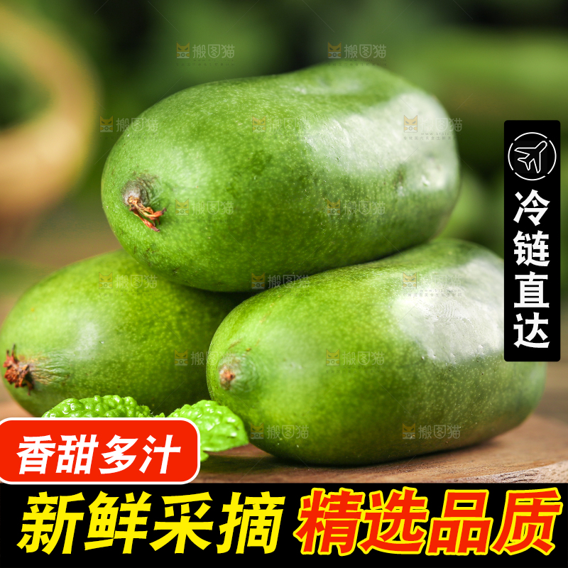 深底上的软枣猕猴桃