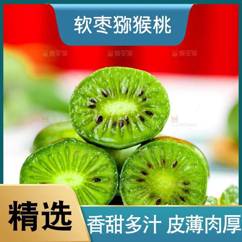 浅底上的软枣猕猴桃