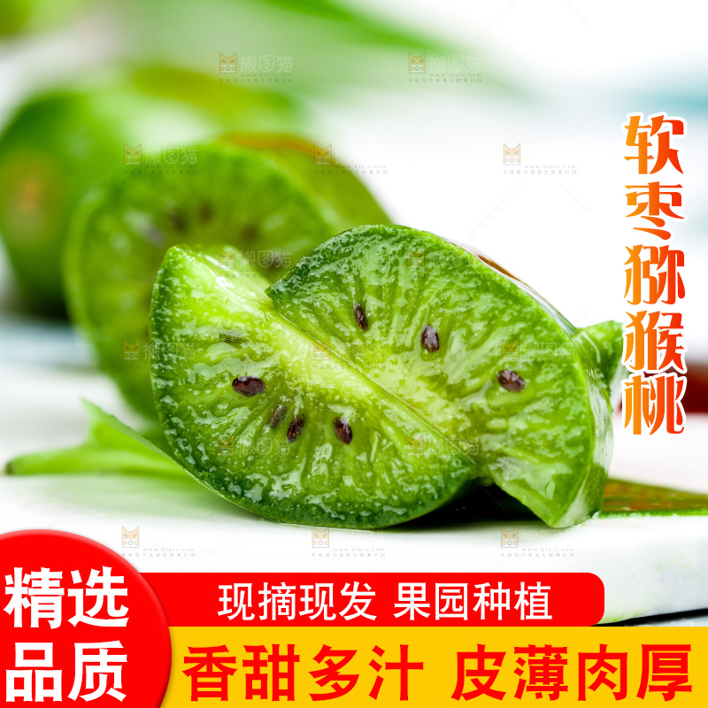 浅底上的软枣猕猴桃