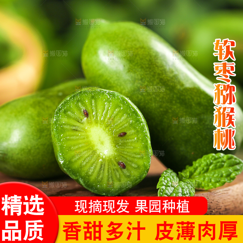 深底上的软枣猕猴桃