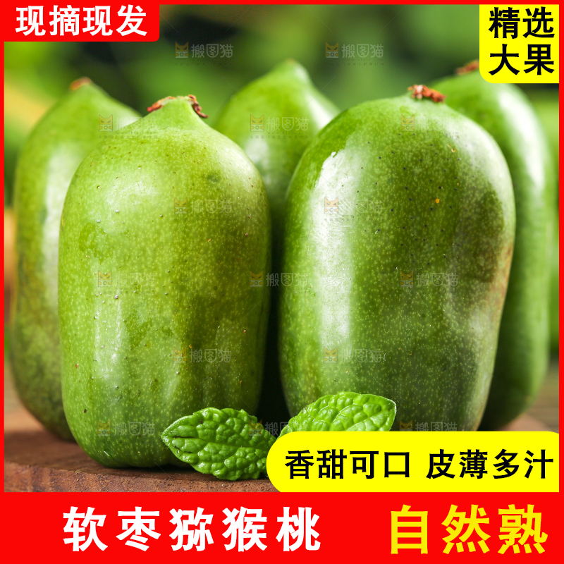 深底上的软枣猕猴桃