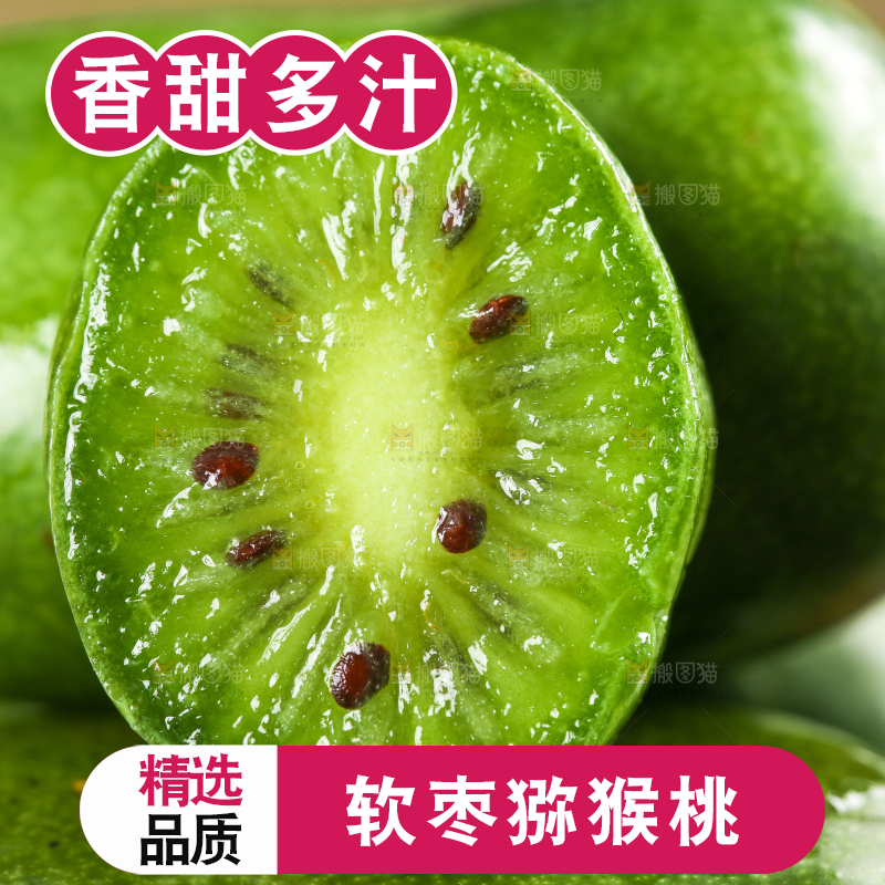 深底上的软枣猕猴桃