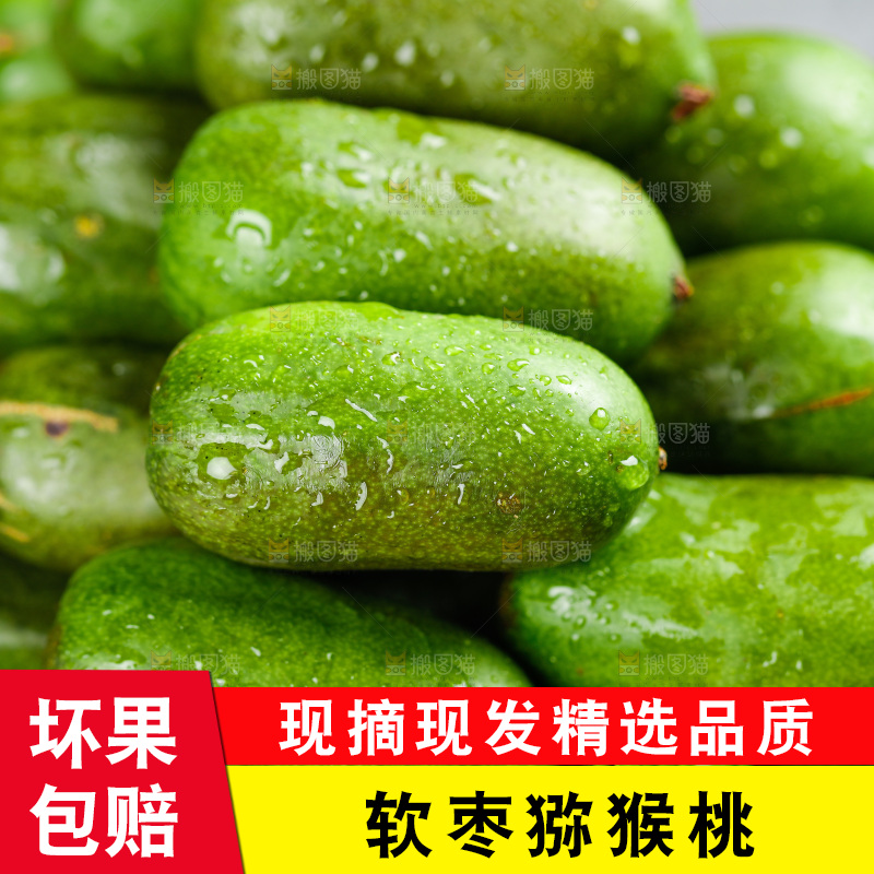 深底上的软枣猕猴桃