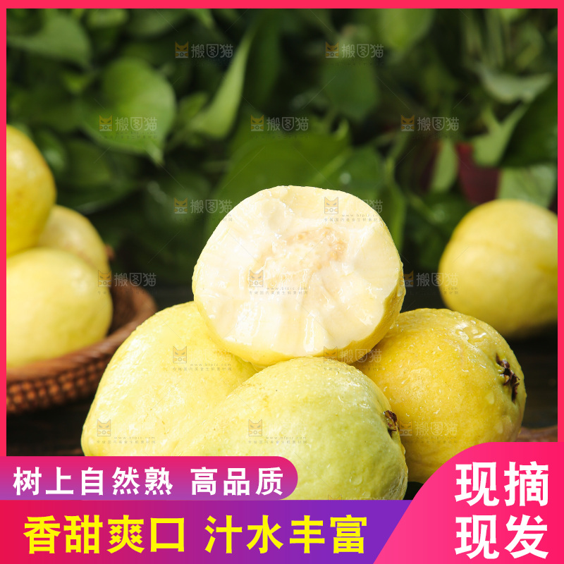 深底上的奶油芭乐
