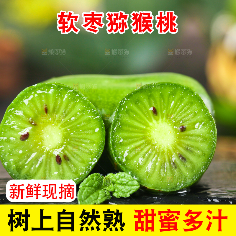 深底上的软枣猕猴桃