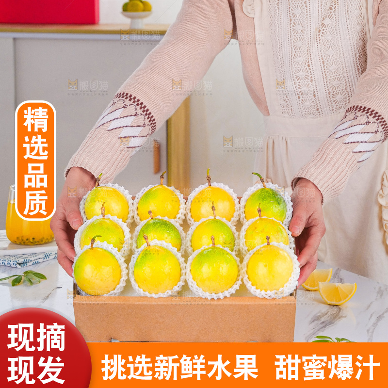 浅底上的花皮百香果
