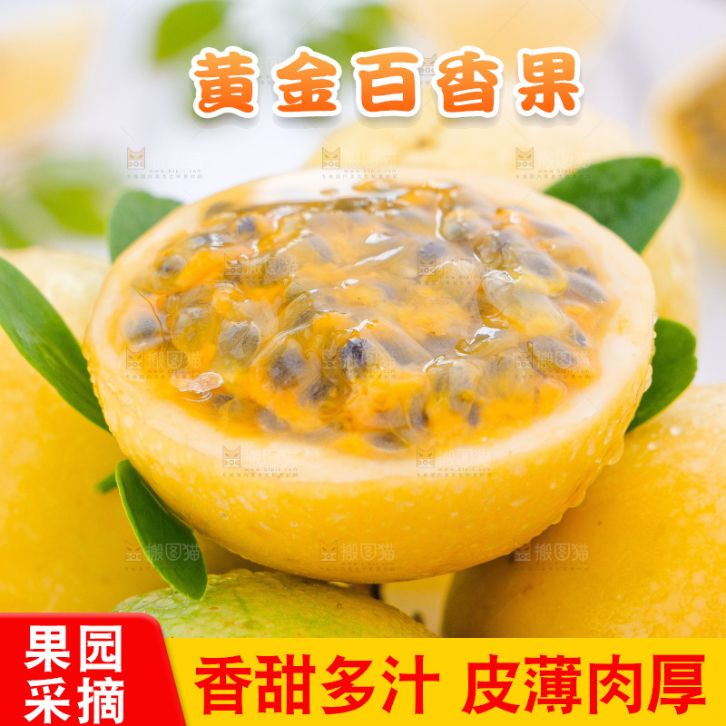 浅底上的花皮百香果