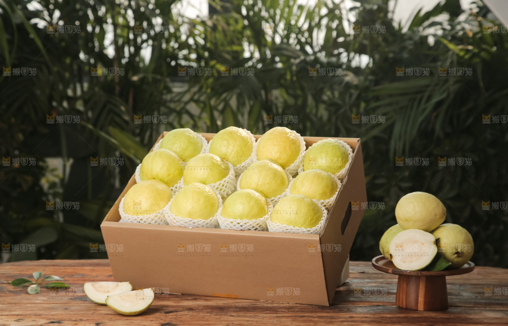 礼盒装的白心芭乐