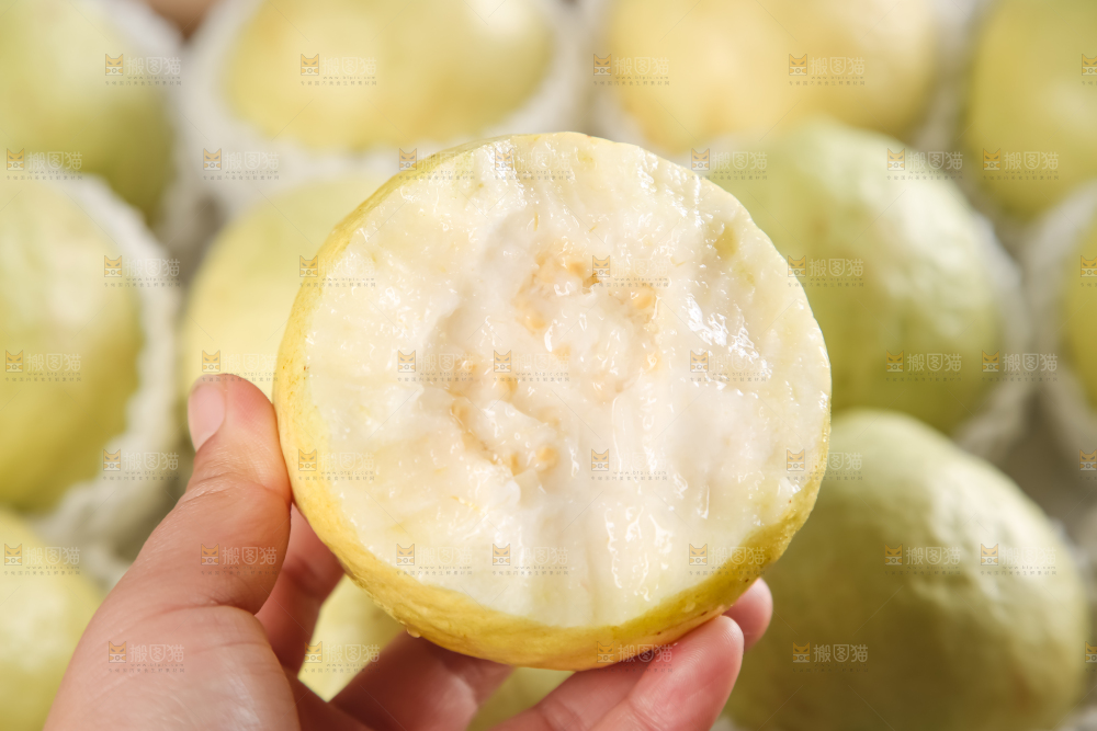 礼盒装的白心芭乐