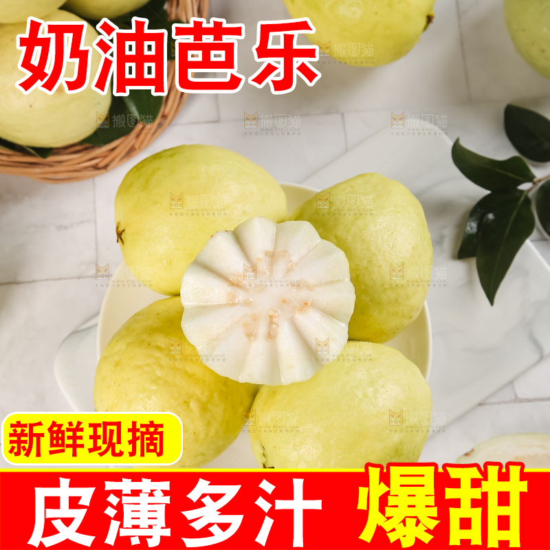 浅底上的白心芭乐