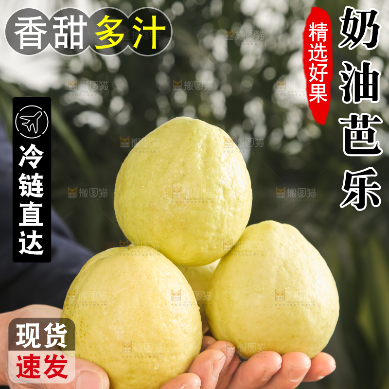 深底上的白心芭乐