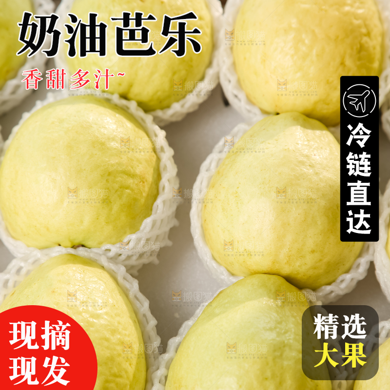 礼盒装的白心芭乐