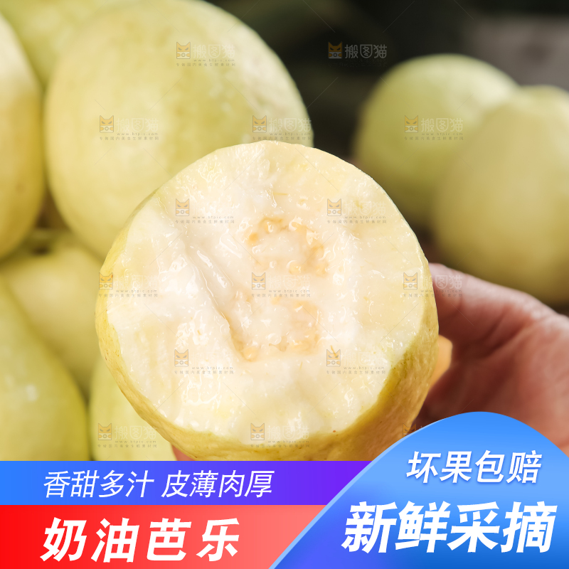 深底上的白心芭乐