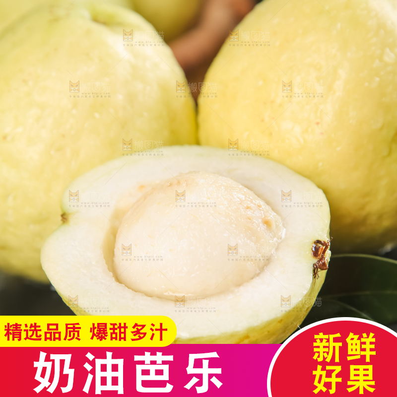 深底上的白心芭乐
