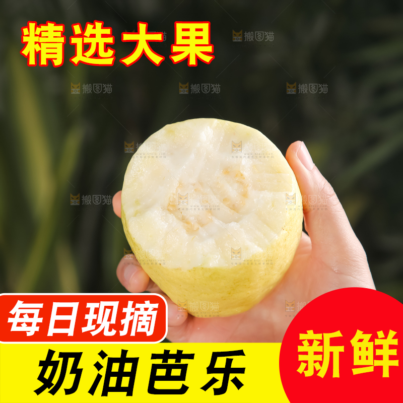 深底上的白心芭乐