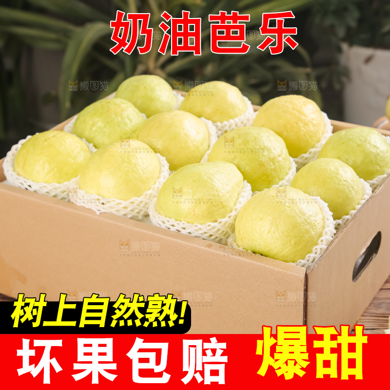 礼盒装的白心芭乐