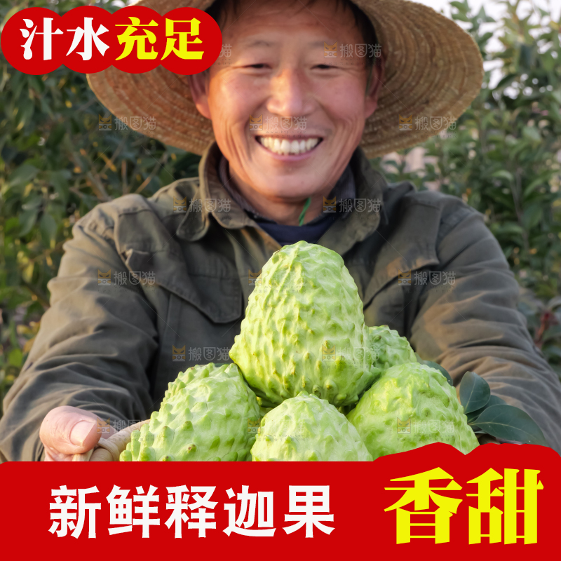 手里拿着释迦果
