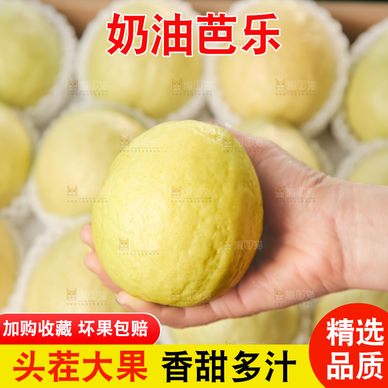 礼盒装的白心芭乐
