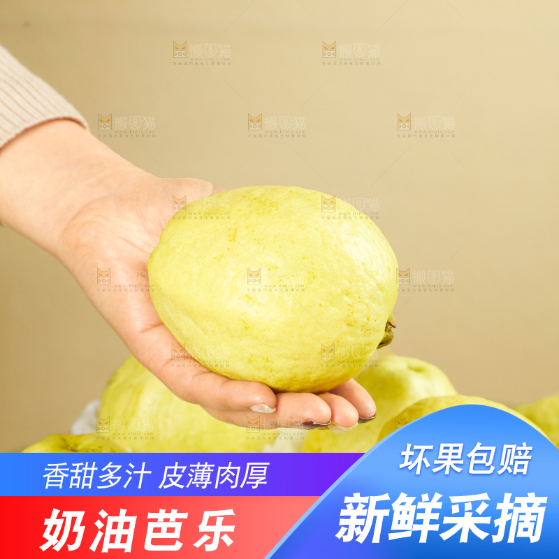 礼盒装的白心芭乐