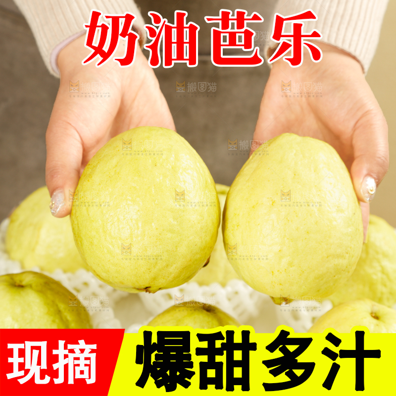 礼盒装的白心芭乐