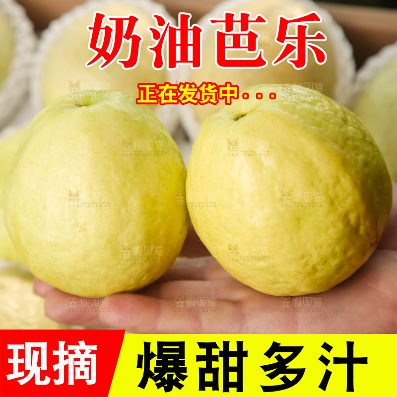 礼盒装的白心芭乐