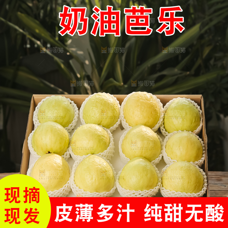 礼盒装的白心芭乐