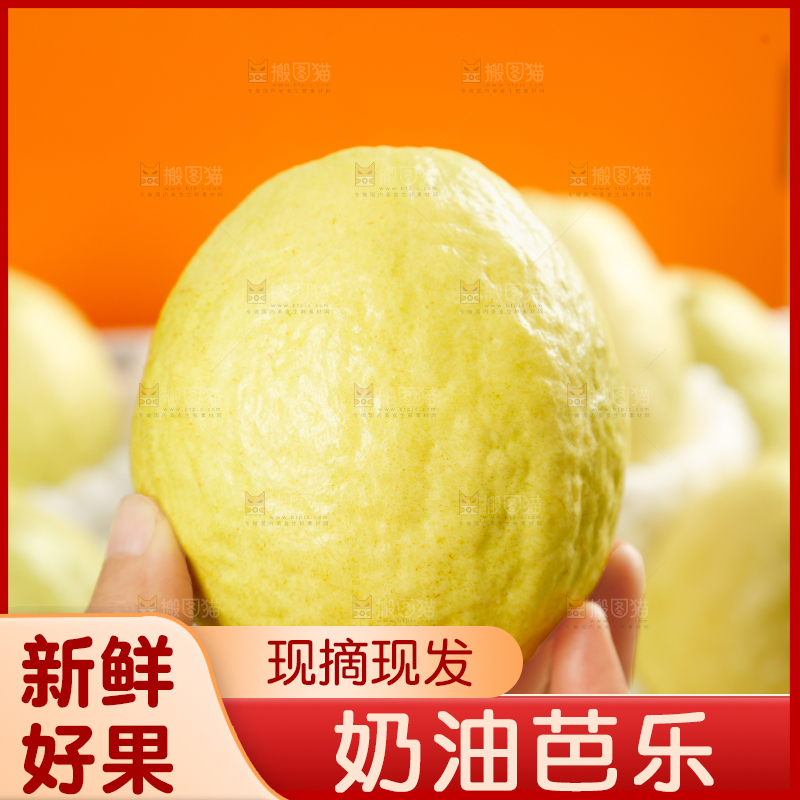 礼盒装的白心芭乐