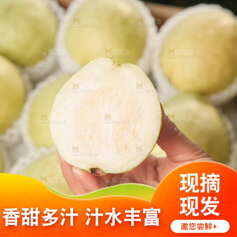 礼盒装的白心芭乐