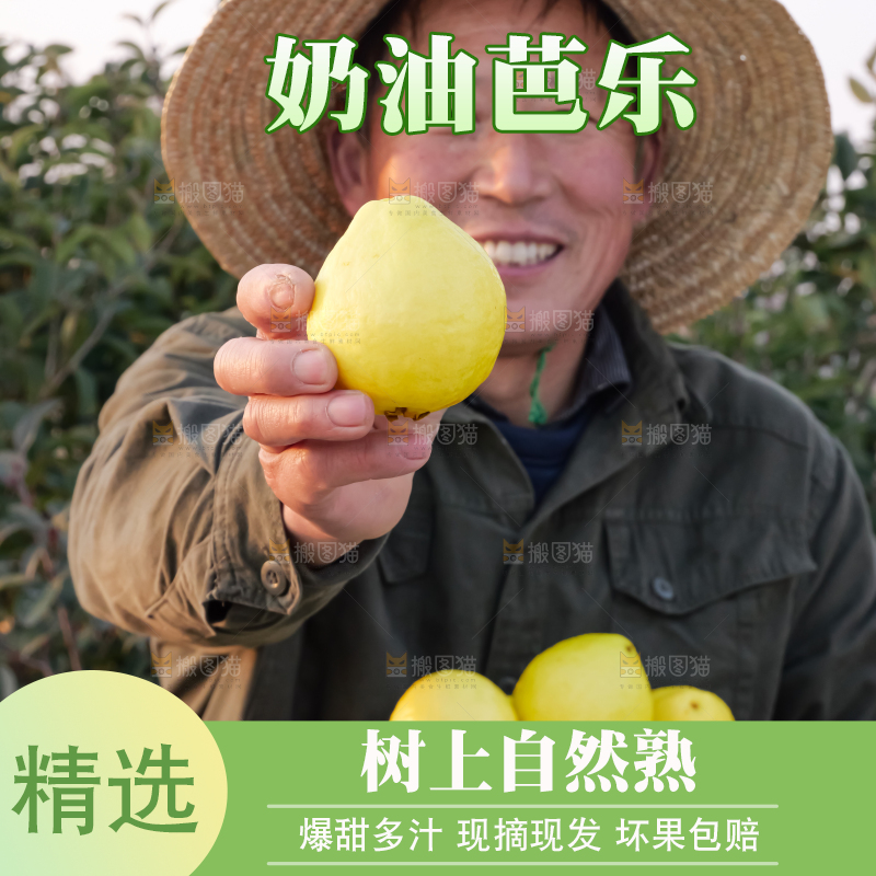 手里拿着白心芭乐