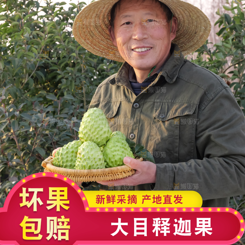 手里拿着释迦果