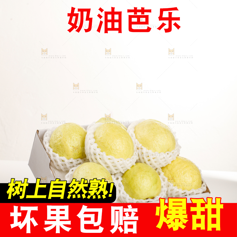 礼盒装的白心芭乐