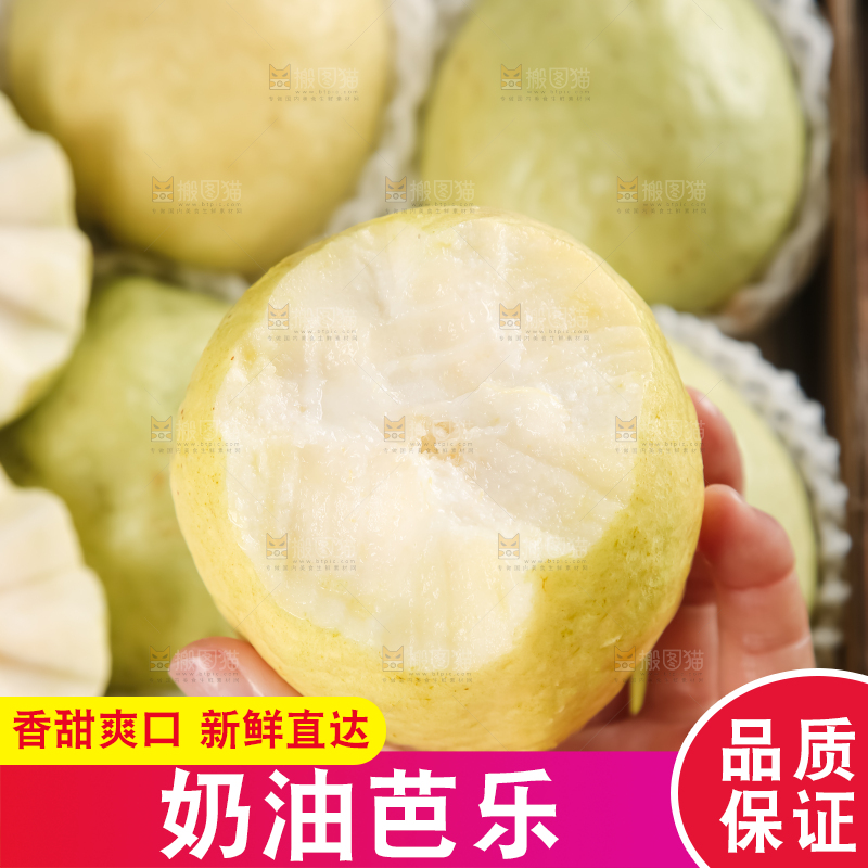 礼盒装的白心芭乐