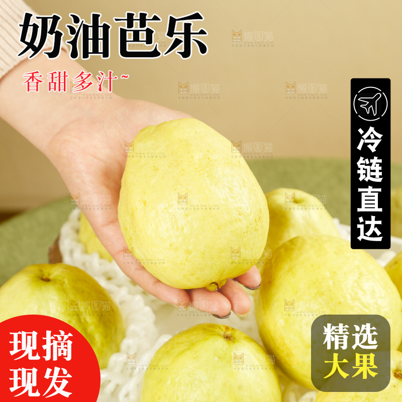 礼盒装的白心芭乐
