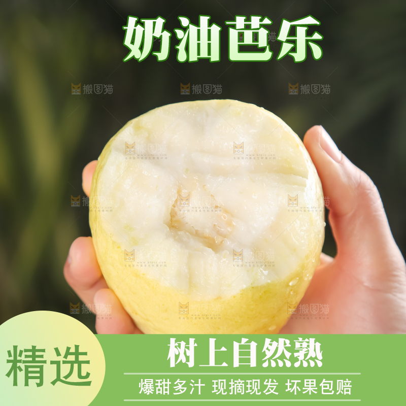 深底上的白心芭乐