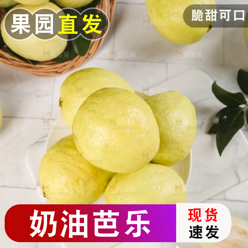 浅底上的白心芭乐