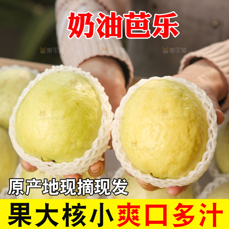 礼盒装的白心芭乐