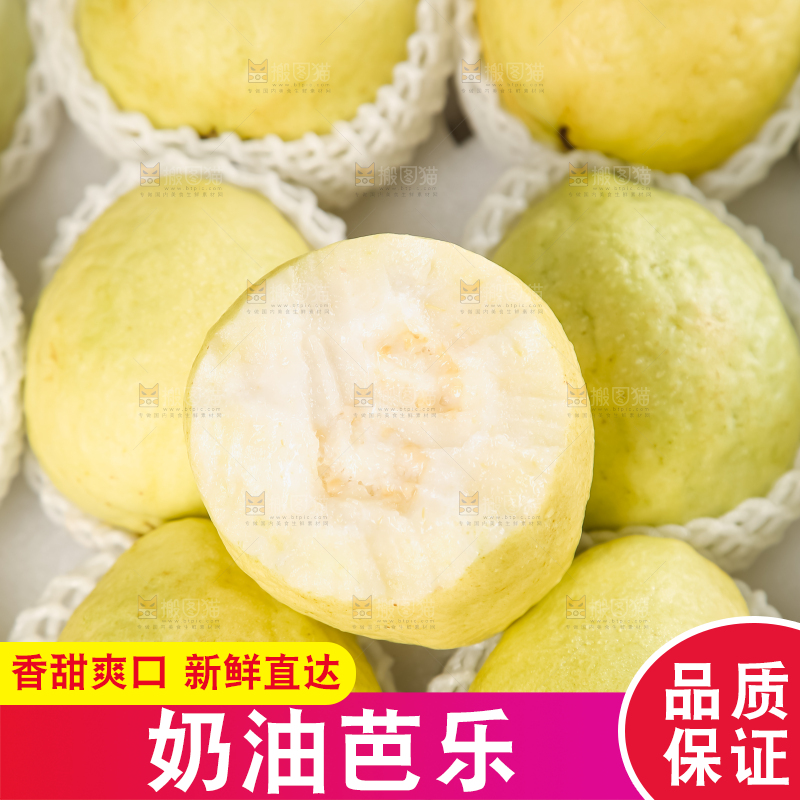 礼盒装的白心芭乐