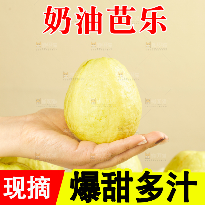 礼盒装的白心芭乐