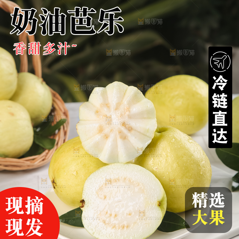 浅底上的白心芭乐