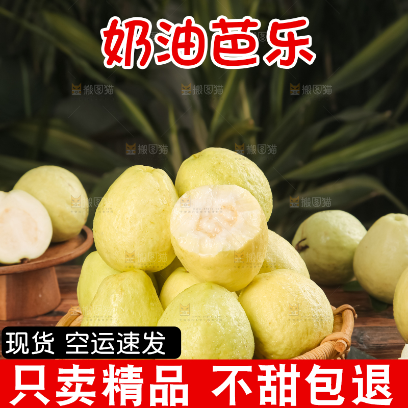 深底上的白心芭乐