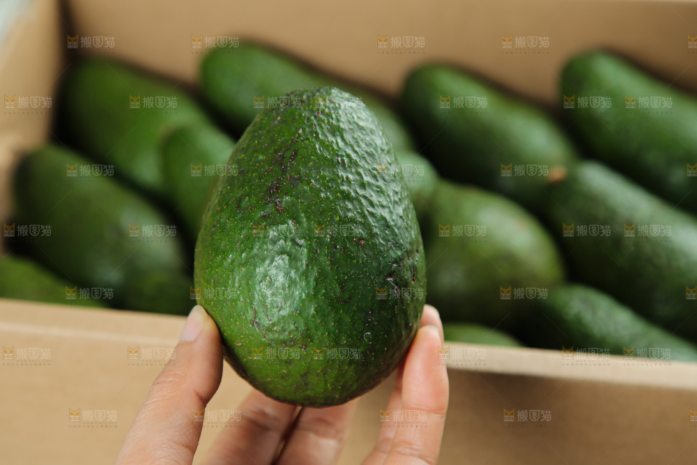 礼盒里装着牛油果